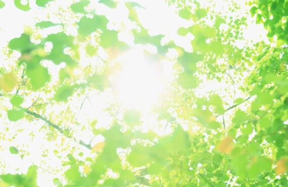 高級生食パンの御沓家をご賞味あれ！！ときわ台で無料キャンペーンを開催中！！